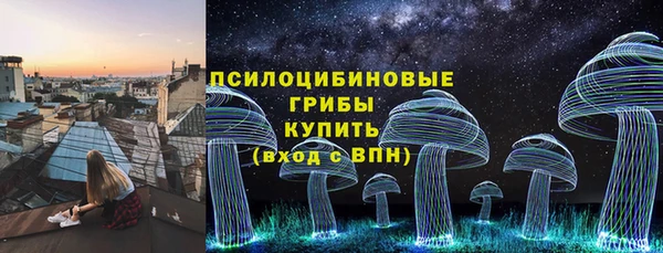 apvp Армянск