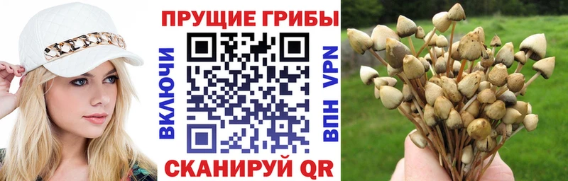 хочу мориарти как зайти Галлюциногенные грибы GOLDEN TEACHER Удомля
